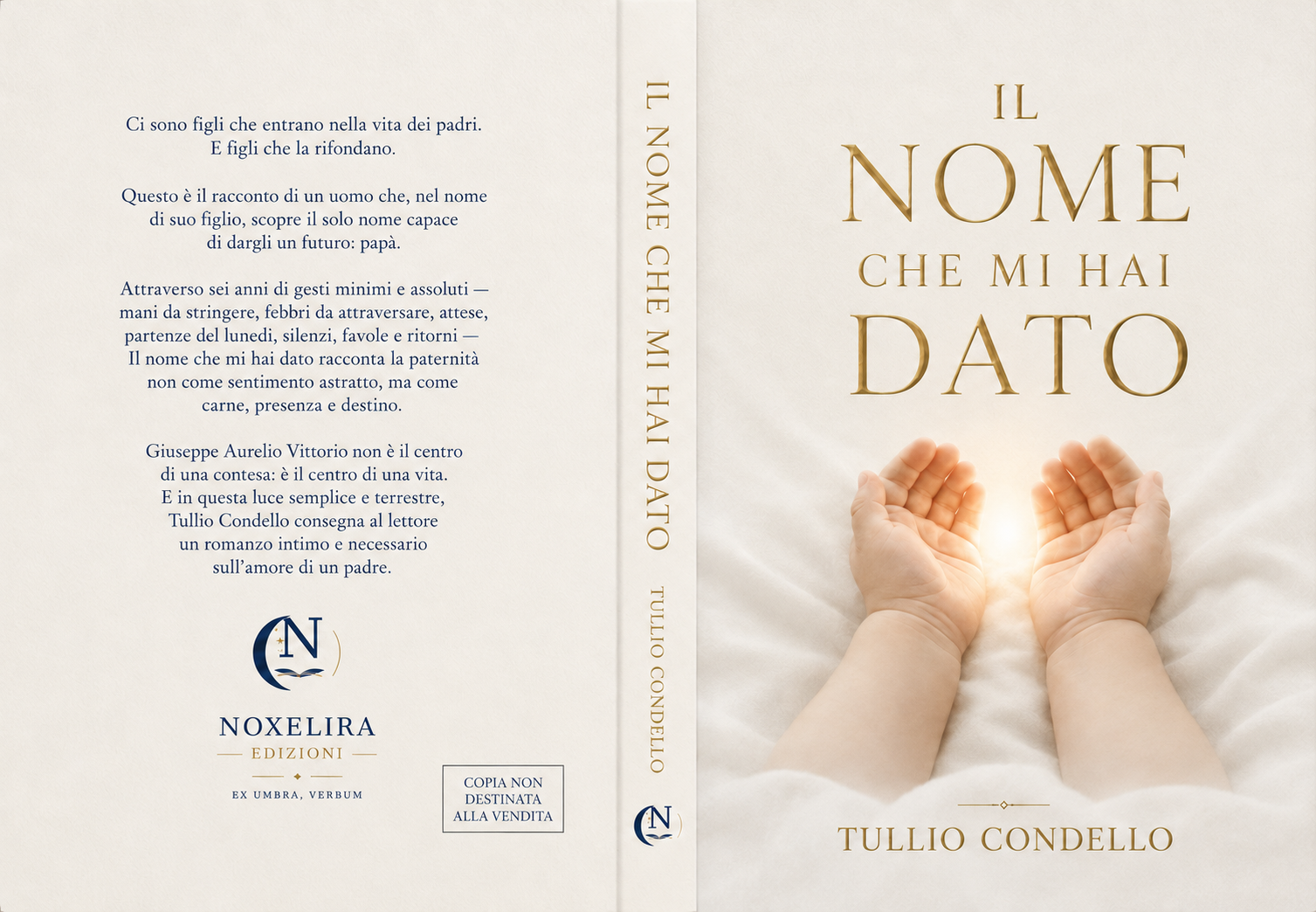 Copertina di Il nome che mi hai dato